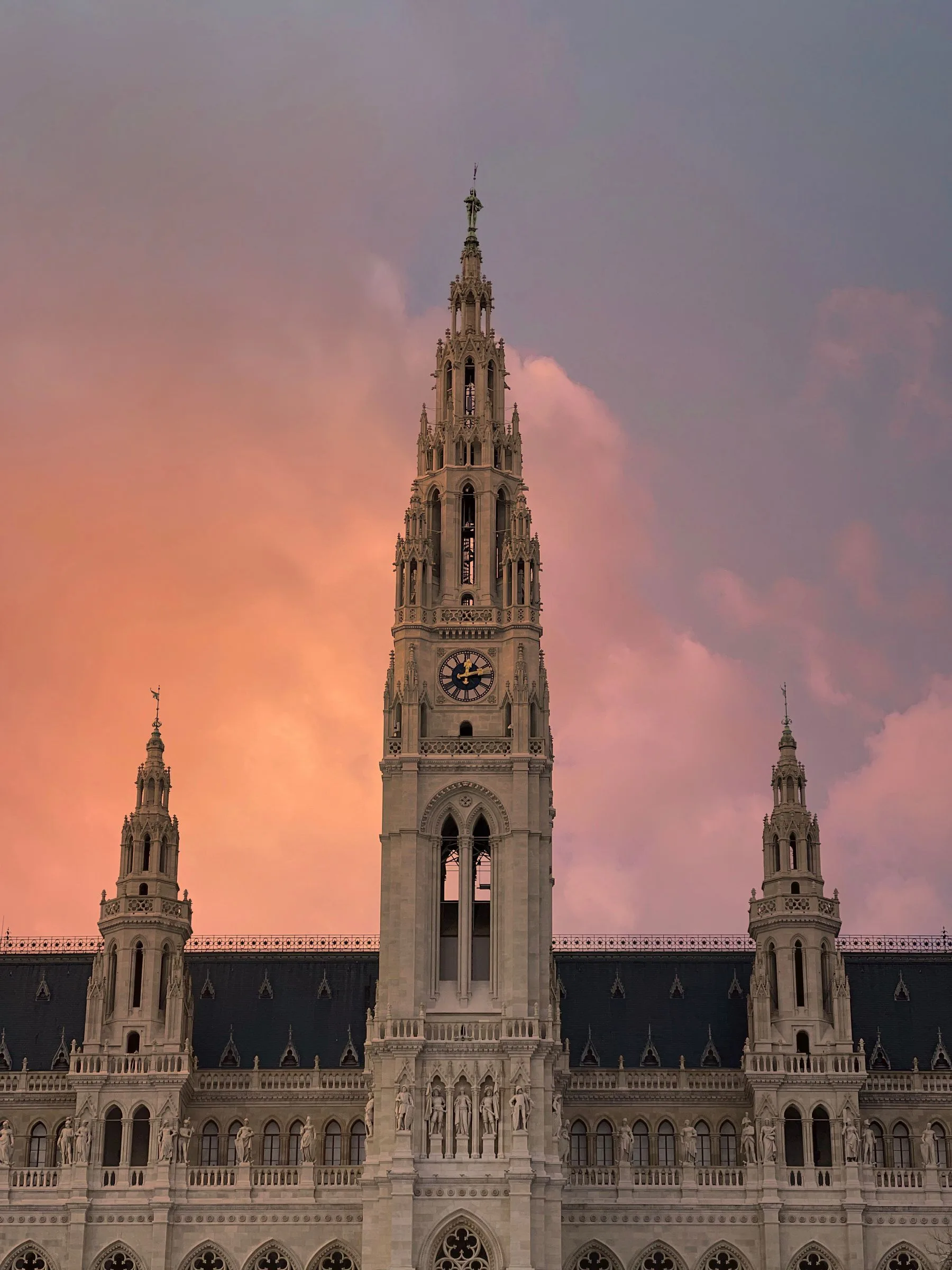 Ayuntamiento histórico de Viena iluminado por el atardecer